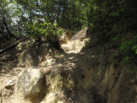 20140602hike (116)